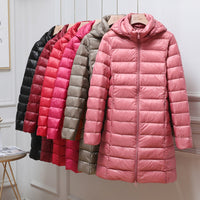 Novae | Chaqueta Ligera Acolchada