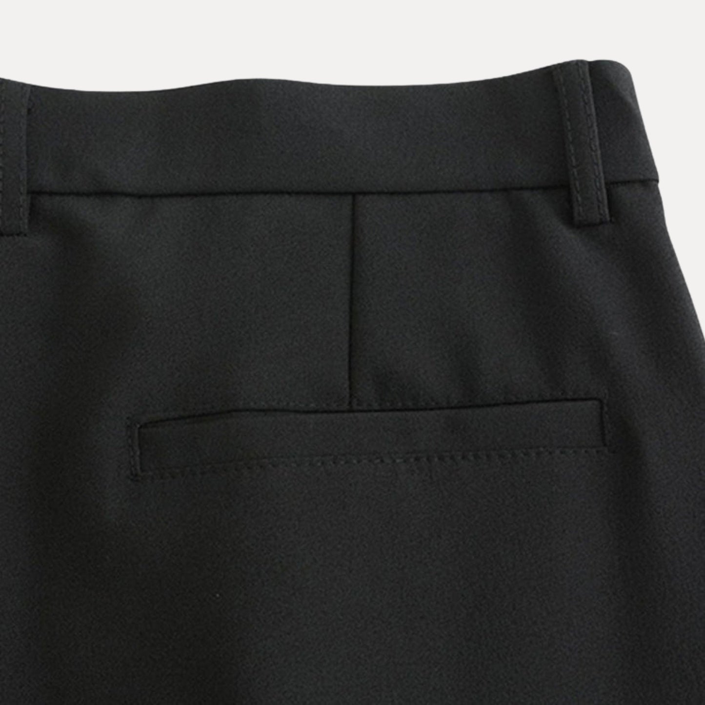Novae Tailored Pleat Pants